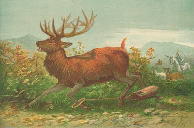 Ksenophon zamanında geyik avı by English School